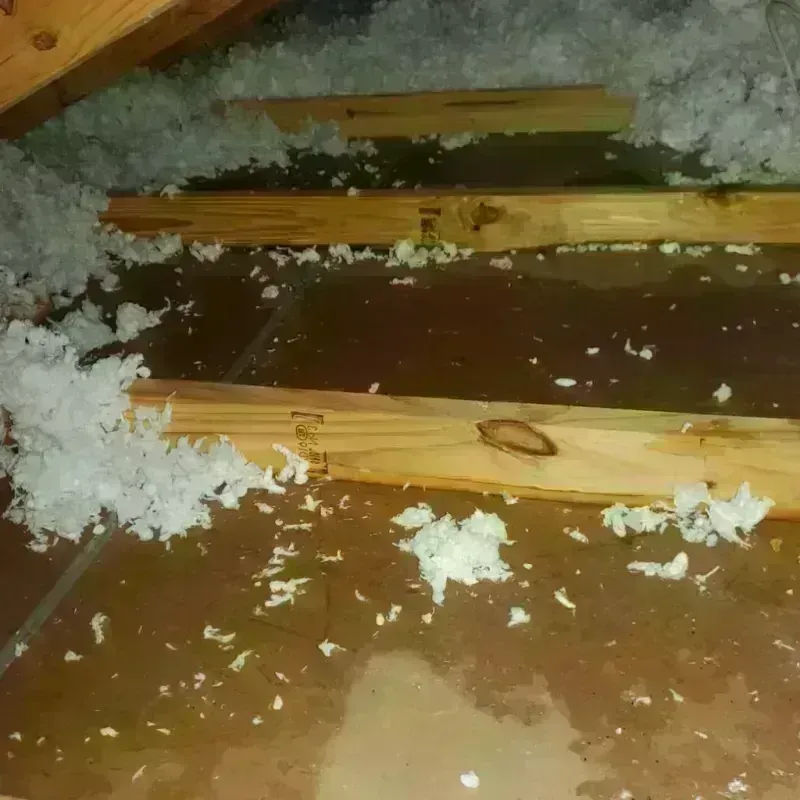 Attic Water Damage in Dover, NH